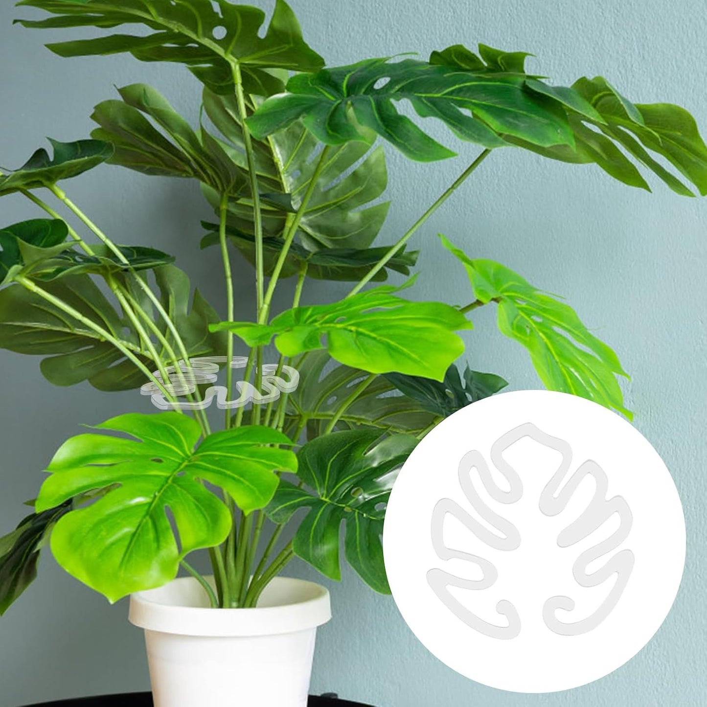 Genomskinlig växtpinne i akryl i form av ett Monstera-blad | Osynligt stöd för stammar på krukväxter inomhus 🌿