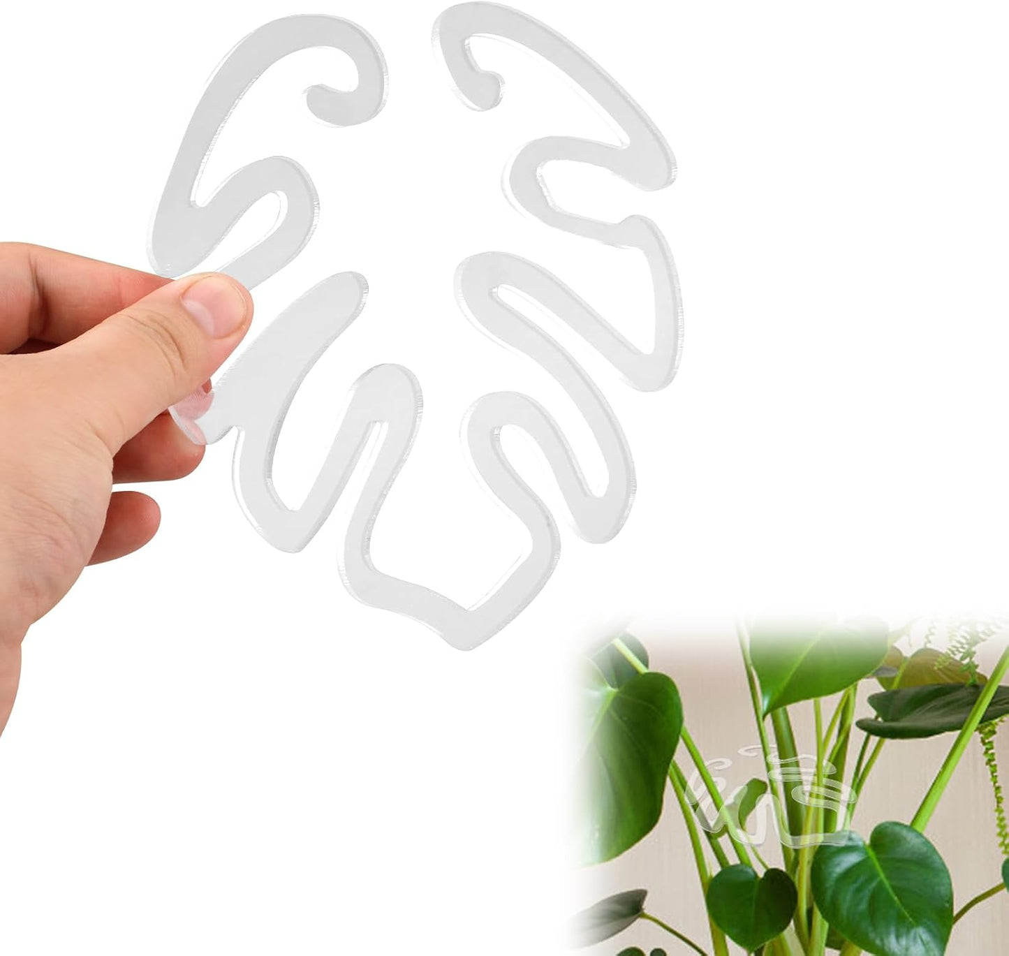 Genomskinlig växtpinne i akryl i form av ett Monstera-blad | Osynligt stöd för stammar på krukväxter inomhus 🌿