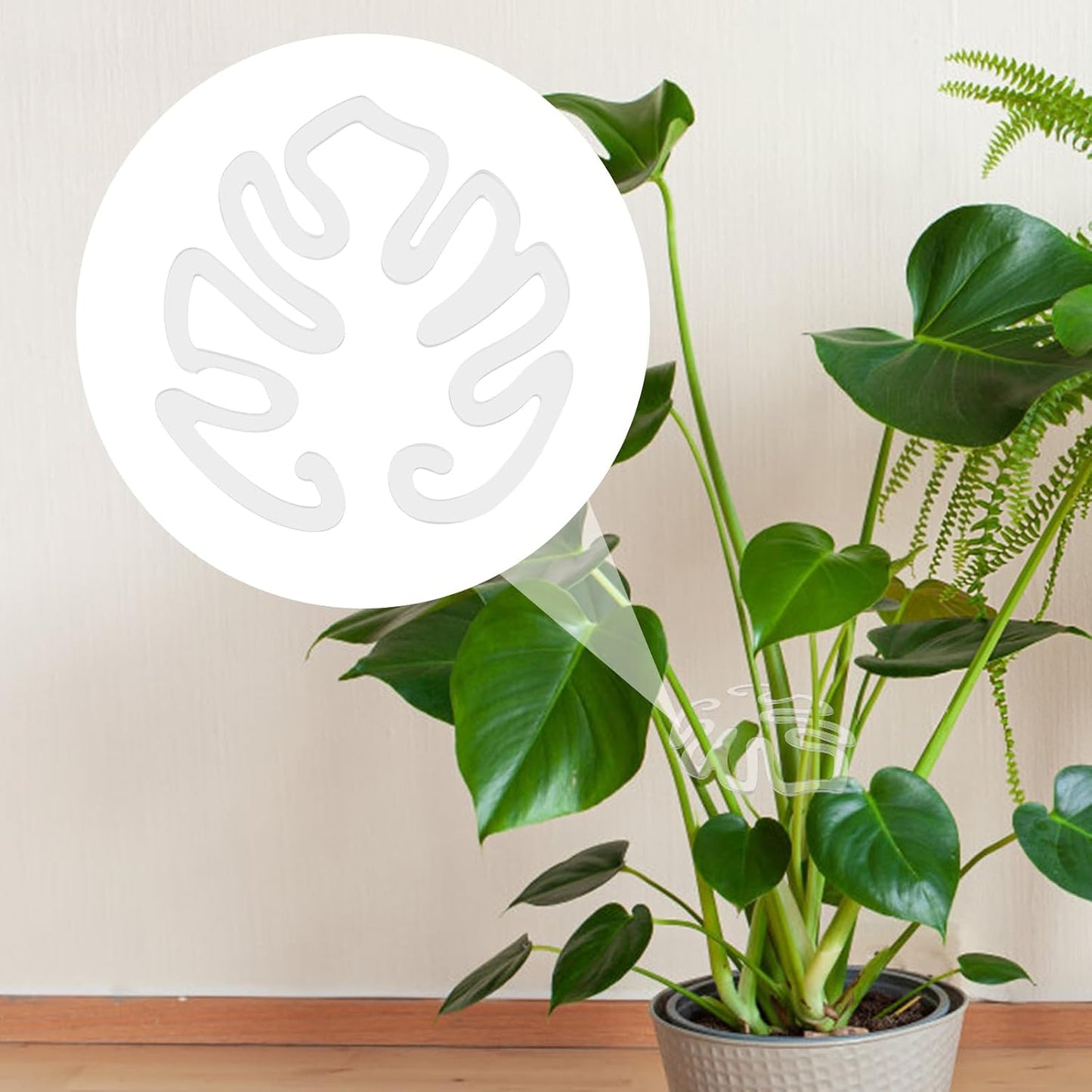 Genomskinlig växtpinne i akryl i form av ett Monstera-blad | Osynligt stöd för stammar på krukväxter inomhus 🌿