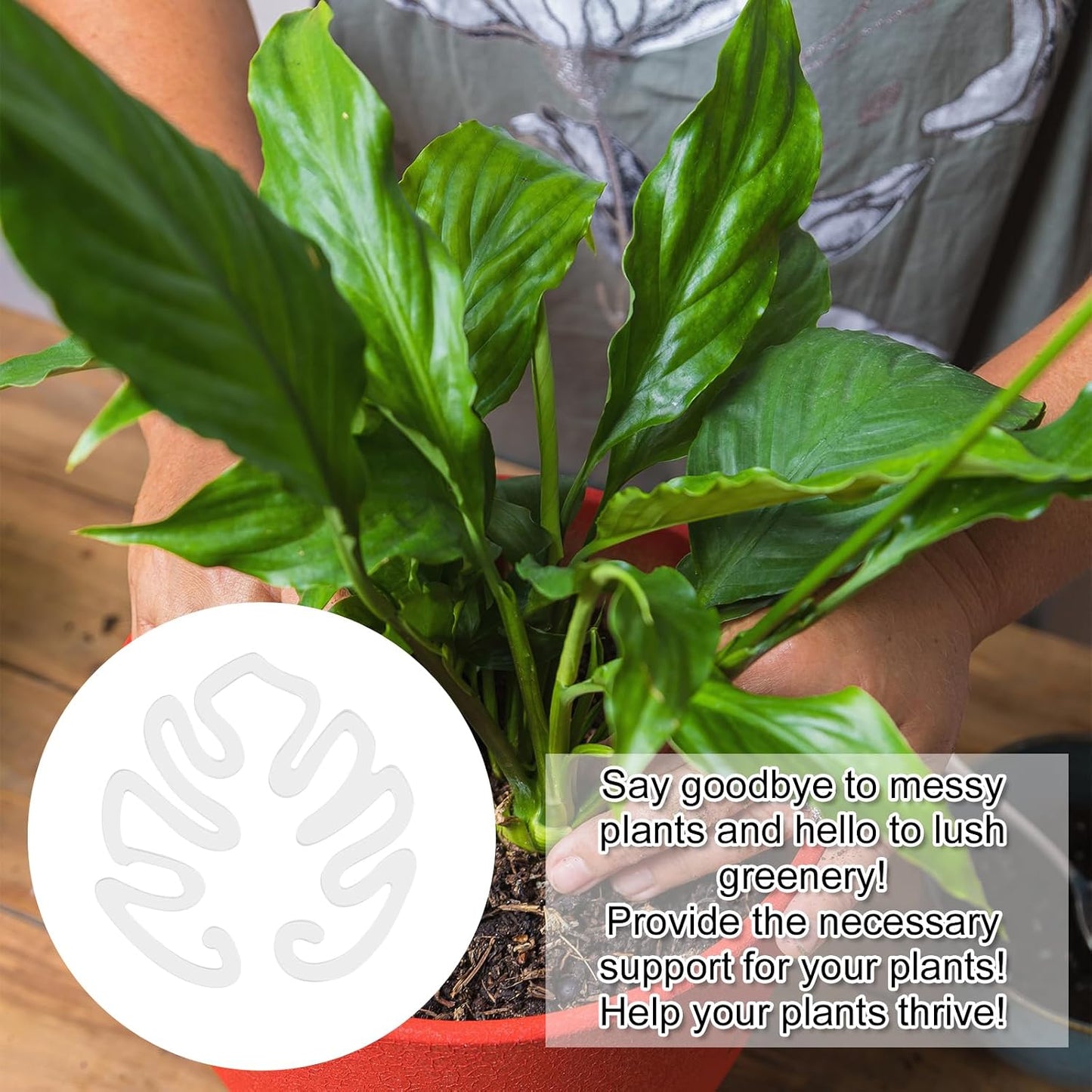 Genomskinlig växtpinne i akryl i form av ett Monstera-blad | Osynligt stöd för stammar på krukväxter inomhus 🌿